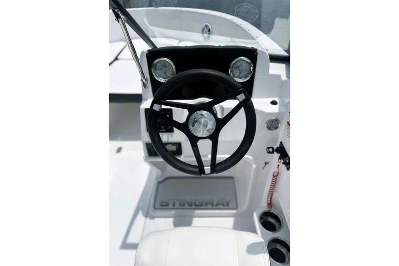 Slide: The Image of Stingray 172 DC 2025 - 49