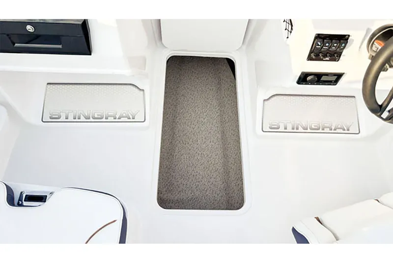 Slide: The Image of Stingray 172 DC 2025 - 50