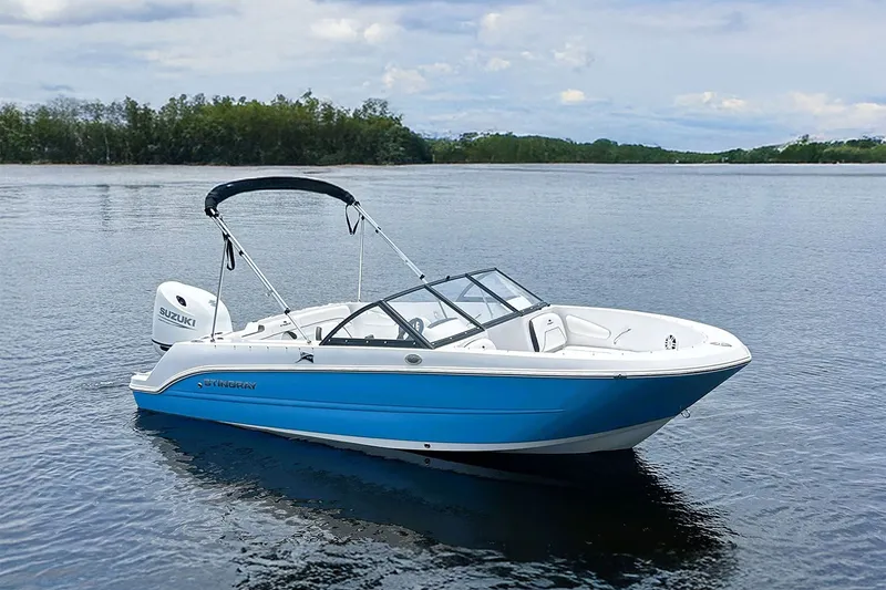 Slide: The Image of Stingray 172 DC 2025 - 54