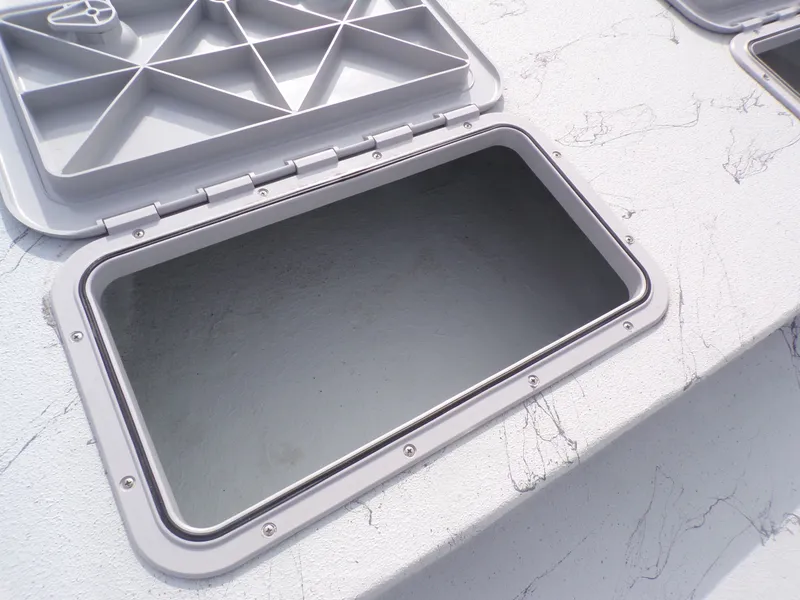 Slide: The Image of Shoalwater 19 Cat 2026 - 6