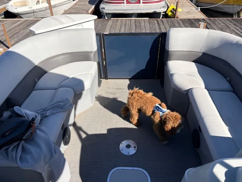 Slide: The Image of Bentley Pontoons 223 Fish-N-Cruise 2022 - 4