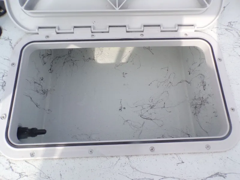 Slide: The Image of Shoalwater 19 Cat 2026 - 8