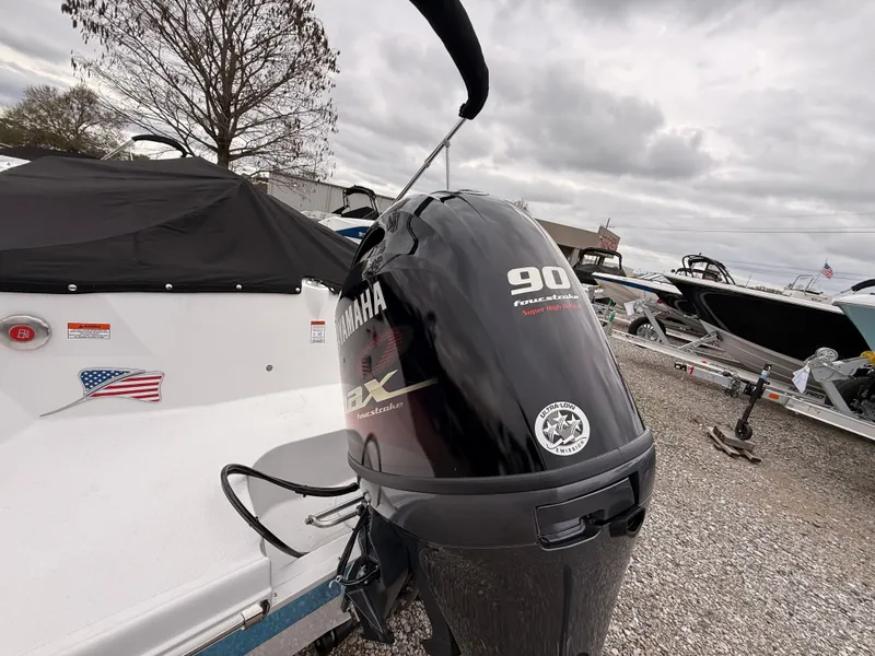 Slide: The Image of Stingray 172 DC 2025 - 5