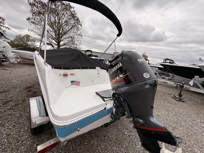 Slide: The Image of Stingray 172 DC 2025 - 6