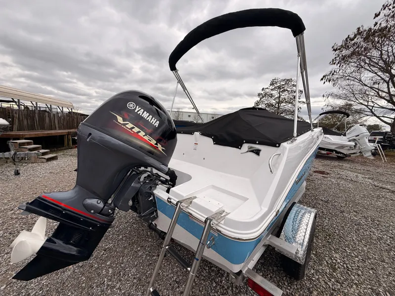 Slide: The Image of Stingray 172 DC 2025 - 7