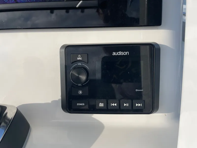 Slide: The Image of Sea Pro 259 DLX 2022 - 17