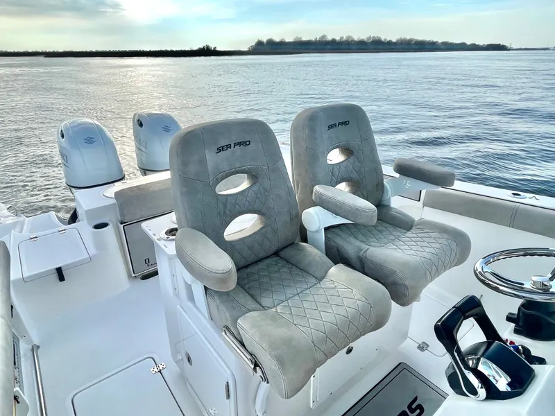 Slide: The Image of Sea Pro 259 DLX 2022 - 20