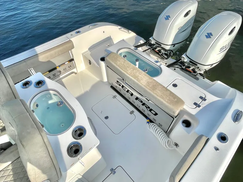 Slide: The Image of Sea Pro 259 DLX 2022 - 22