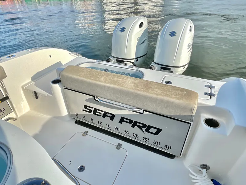 Slide: The Image of Sea Pro 259 DLX 2022 - 23