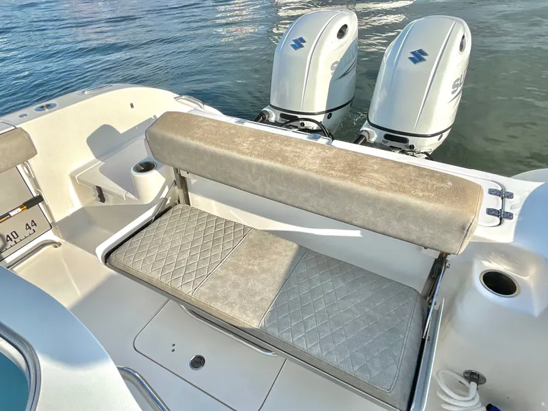 Slide: The Image of Sea Pro 259 DLX 2022 - 24