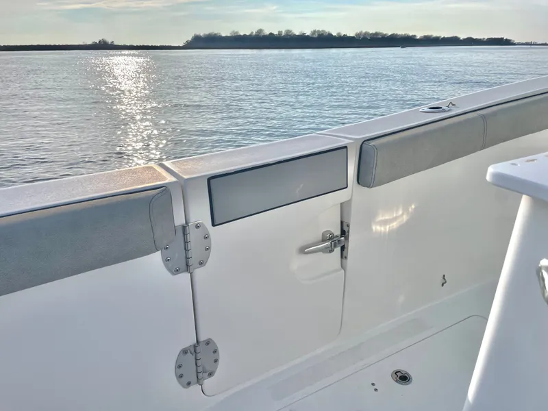 Slide: The Image of Sea Pro 259 DLX 2022 - 26