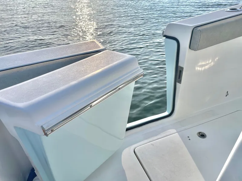 Slide: The Image of Sea Pro 259 DLX 2022 - 27