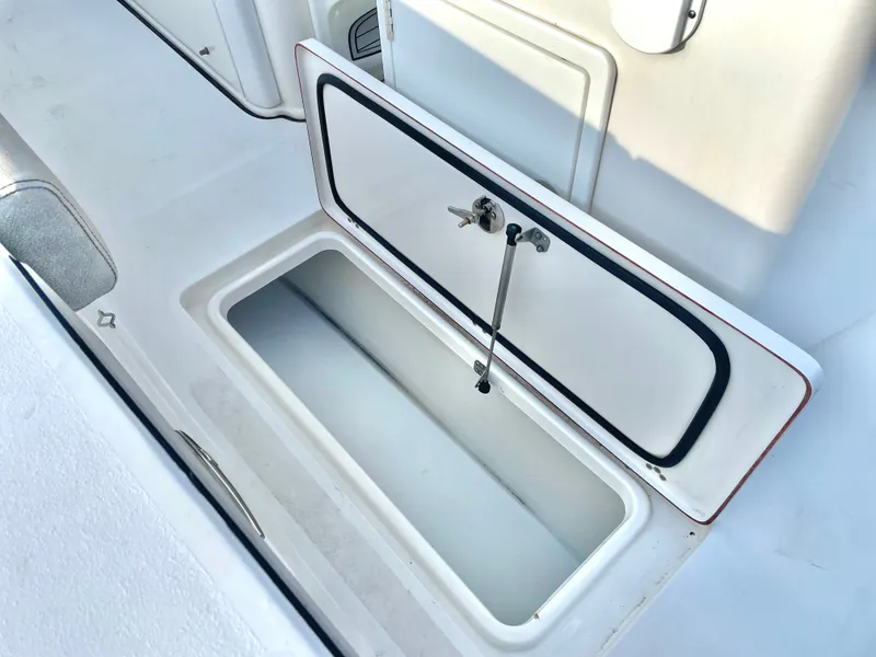 Slide: The Image of Sea Pro 259 DLX 2022 - 28