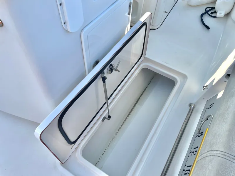 Slide: The Image of Sea Pro 259 DLX 2022 - 29