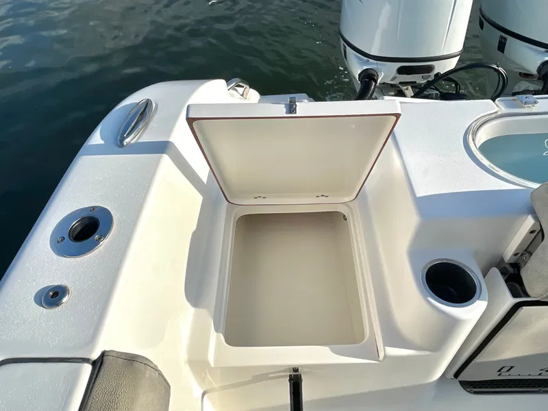 Slide: The Image of Sea Pro 259 DLX 2022 - 30