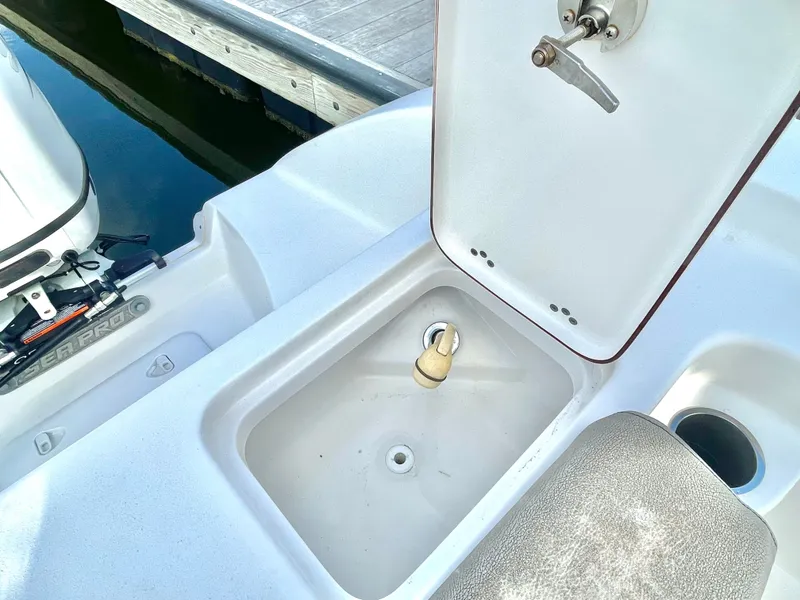 Slide: The Image of Sea Pro 259 DLX 2022 - 31