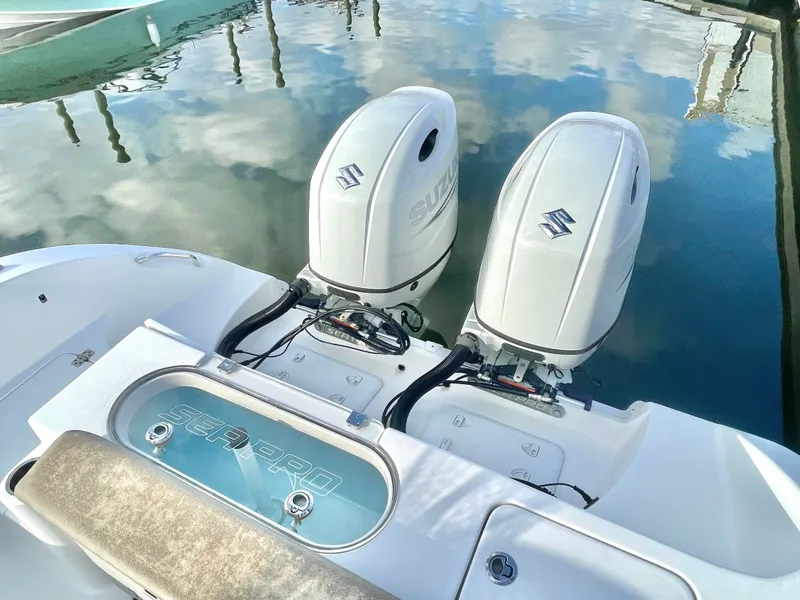 Slide: The Image of Sea Pro 259 DLX 2022 - 32