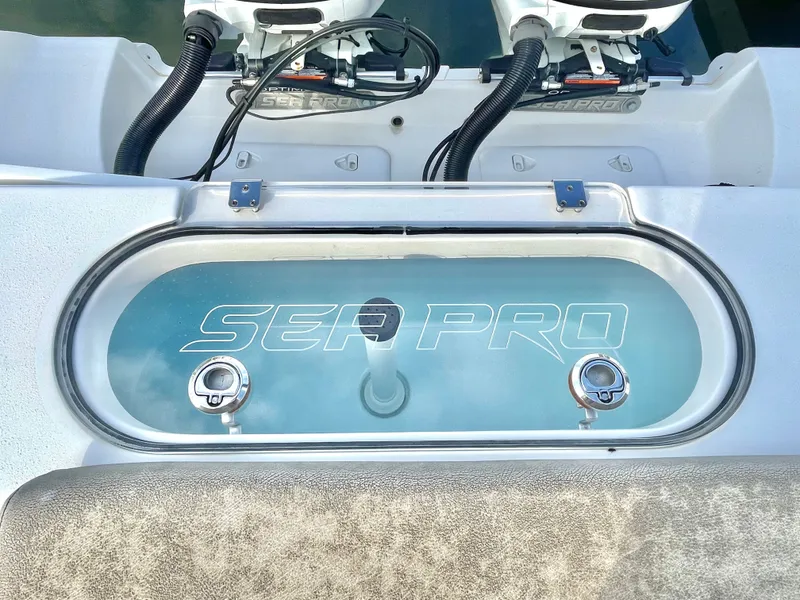 Slide: The Image of Sea Pro 259 DLX 2022 - 33