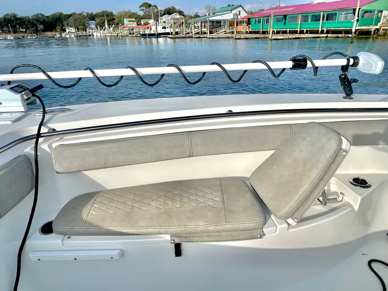 Slide: The Image of Sea Pro 259 DLX 2022 - 37