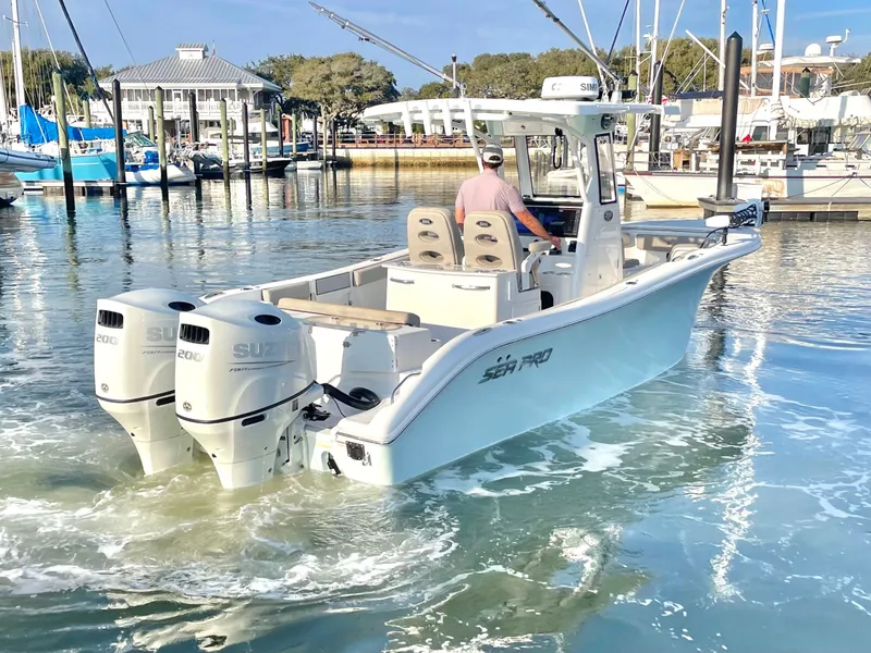 Slide: The Image of Sea Pro 259 DLX 2022 - 4