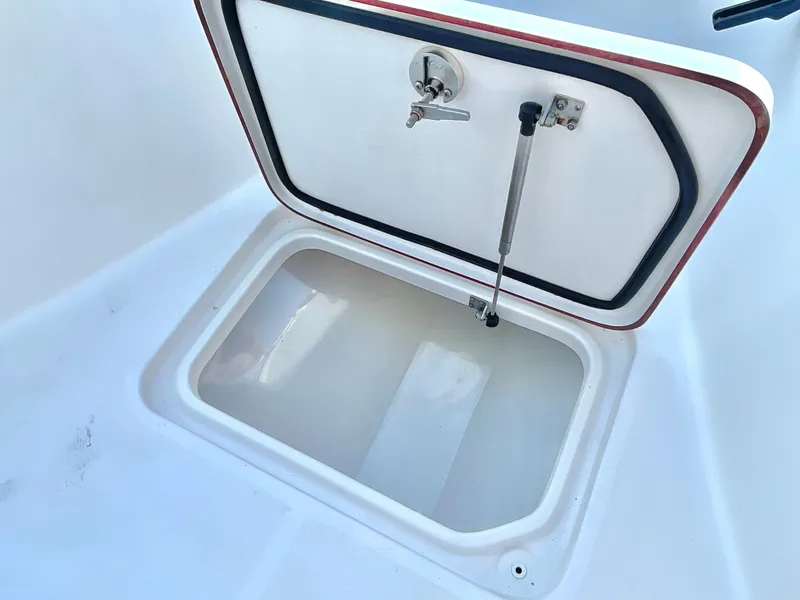 Slide: The Image of Sea Pro 259 DLX 2022 - 40