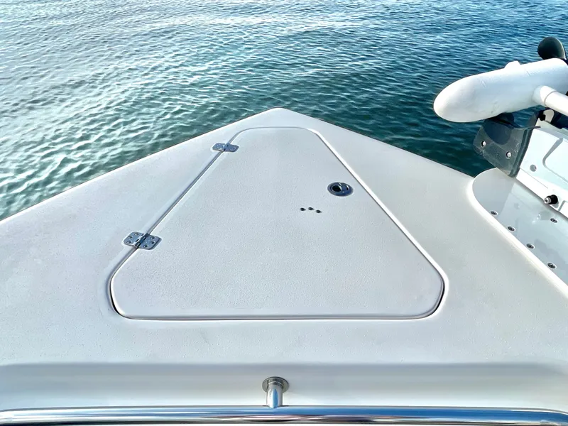 Slide: The Image of Sea Pro 259 DLX 2022 - 41