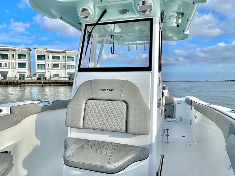 Slide: The Image of Sea Pro 259 DLX 2022 - 45