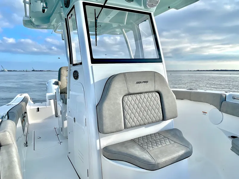 Slide: The Image of Sea Pro 259 DLX 2022 - 46