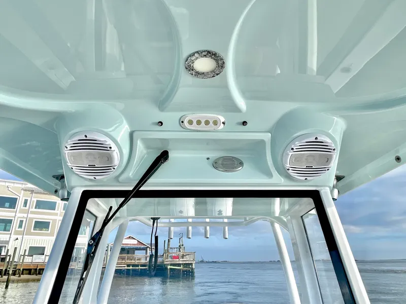 Slide: The Image of Sea Pro 259 DLX 2022 - 48