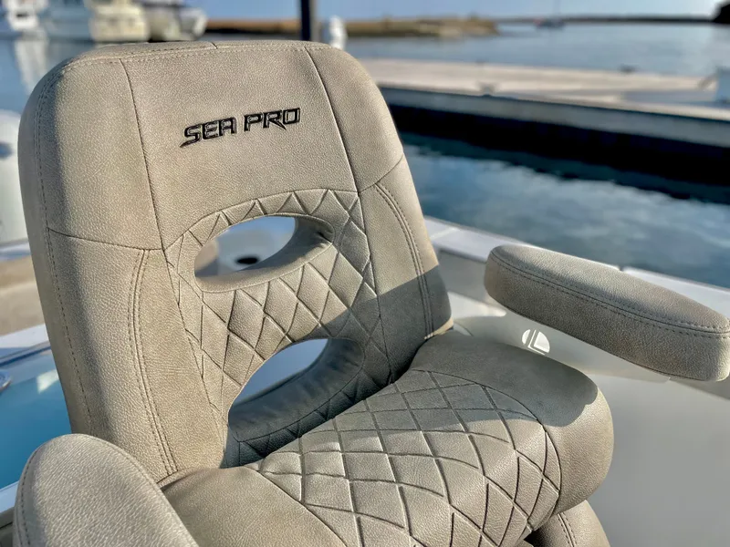 Slide: The Image of Sea Pro 259 DLX 2022 - 56