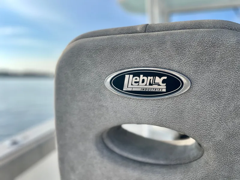 Slide: The Image of Sea Pro 259 DLX 2022 - 57