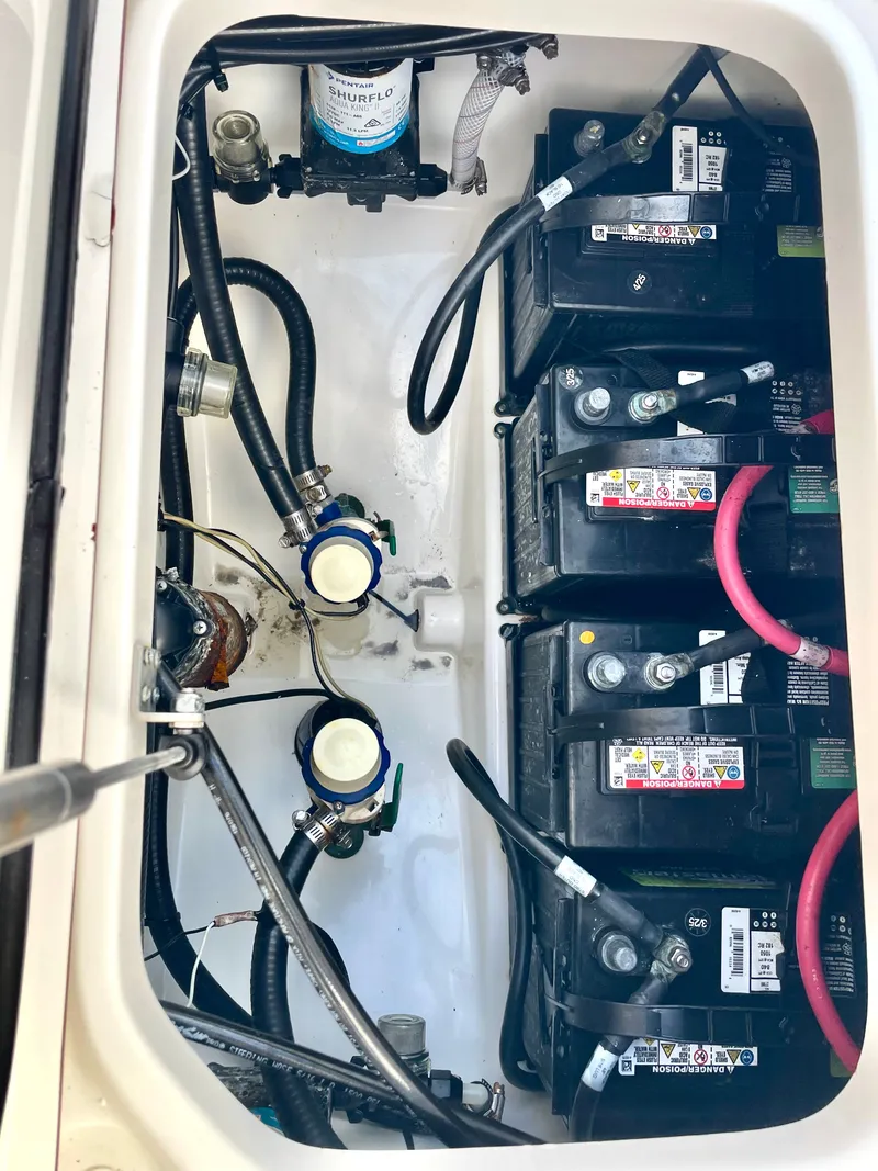 Slide: The Image of Sea Pro 259 DLX 2022 - 63