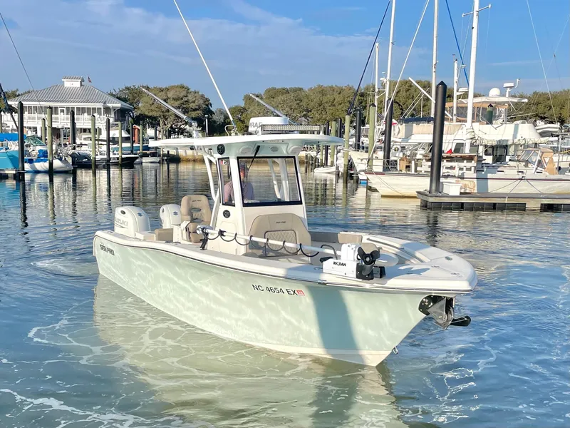 Slide: The Image of Sea Pro 259 DLX 2022 - 7