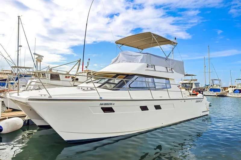 Slide: The Image of 2023 ArrowCat 420 Flybridge yacht docked in a marina under a clear blue sky. - 12