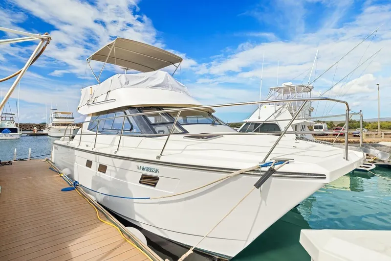 Slide: The Image of 2023 ArrowCat 420 Flybridge yacht docked at marina under blue sky. - 14