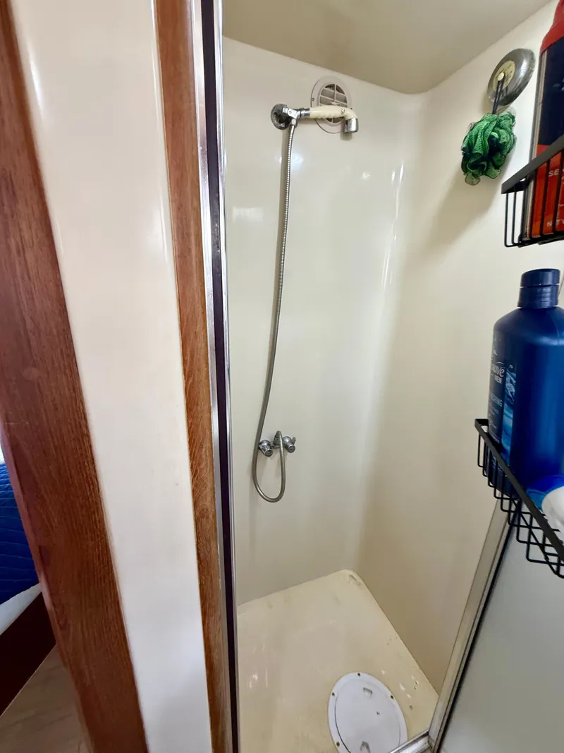 Slide: The Image of Californian 48MY 1989 - 90