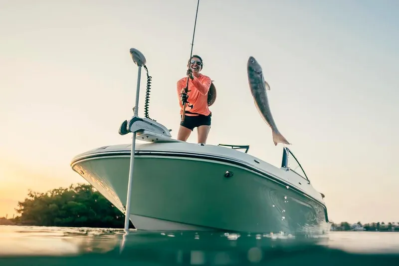 The Image of Manufacturer Provided Image: Person fishing on 2025 Bayliner Trophy T22SC boat, catching a large fish at sunset. - 0