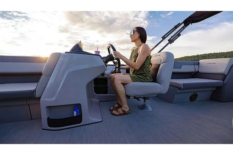 Slide: The Image of Lowe LS 210 WALK Thru 2026 - 11