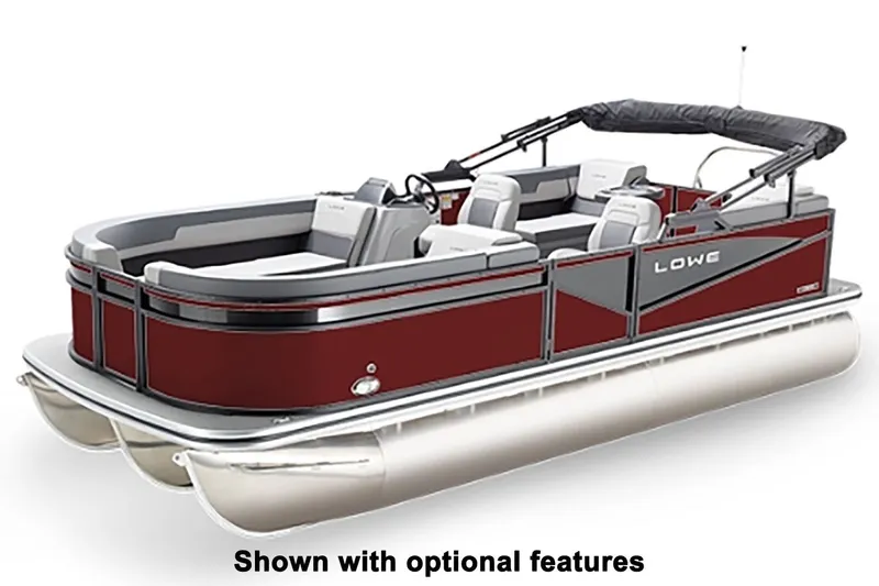 Slide: The Image of Lowe LS 210 WALK Thru 2026 - 3