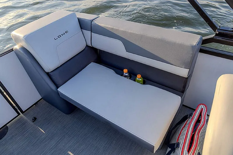 Slide: The Image of Lowe LS 210 WALK Thru 2026 - 8