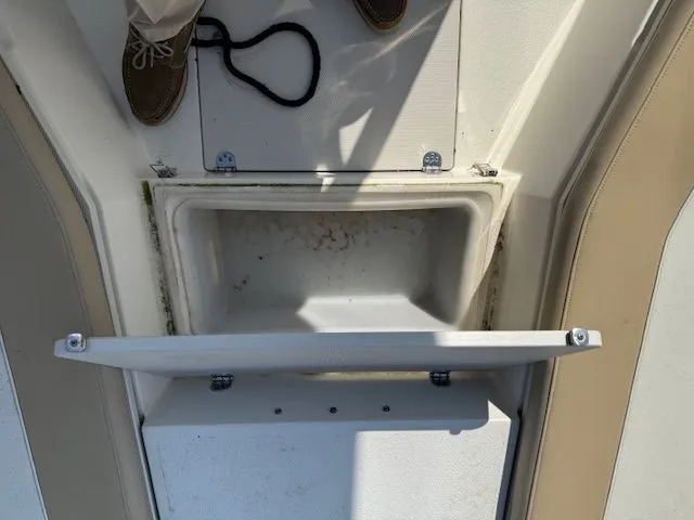 Slide: The Image of Stingray 236 2019 - 14