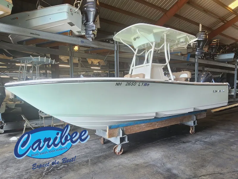 The Image of 2023 SEA BORN 22 LX - Image 1 - 1