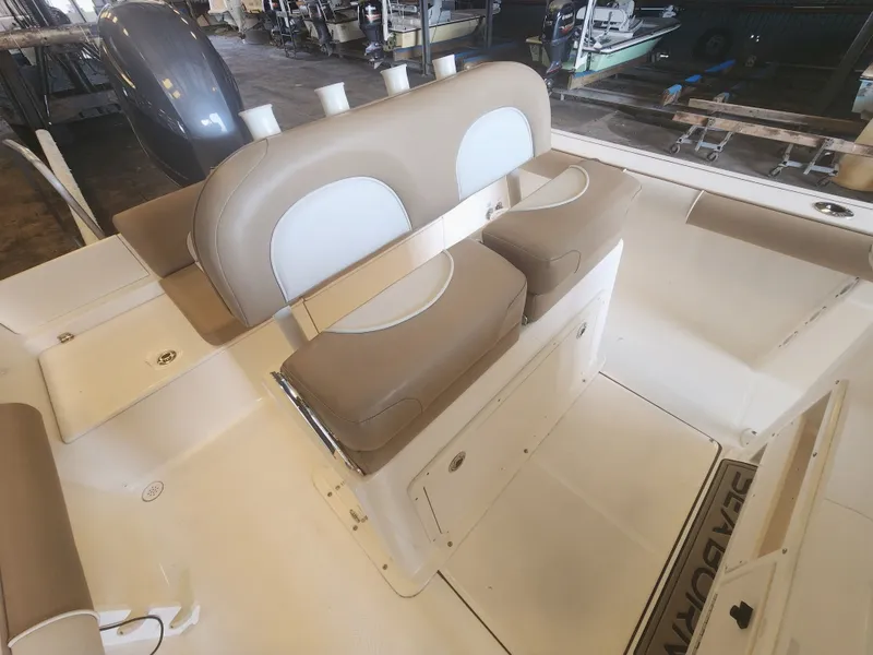 Slide: The Image of 2023 SEA BORN 22 LX - Image 12 - 12