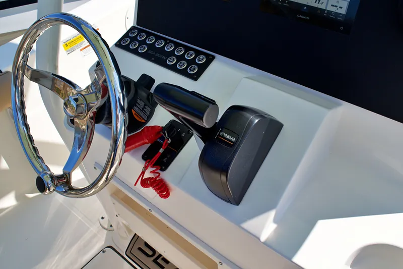 Slide: The Image of 2023 SEA BORN 22 LX - Image 25 - 25