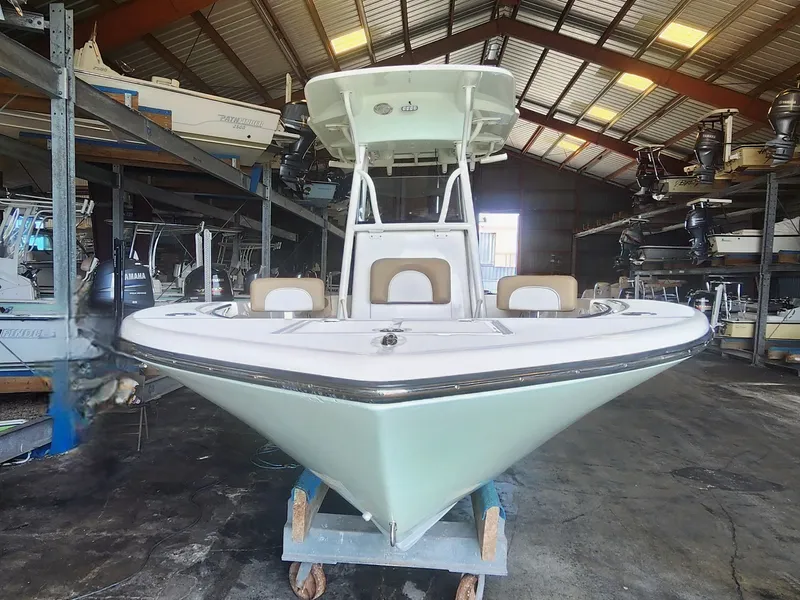 Slide: The Image of 2023 SEA BORN 22 LX - Image 4 - 4