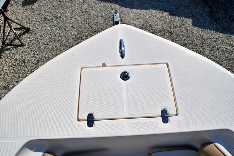 Slide: The Image of 2023 SEA BORN 22 LX - Image 41 - 41