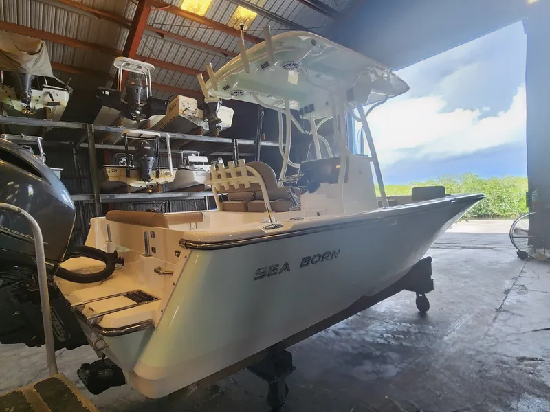 Slide: The Image of 2023 SEA BORN 22 LX - Image 5 - 5