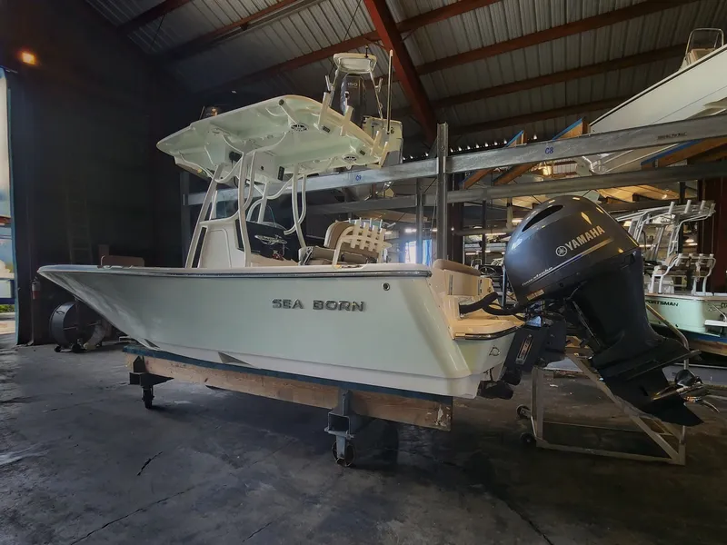 Slide: The Image of 2023 SEA BORN 22 LX - Image 6 - 6