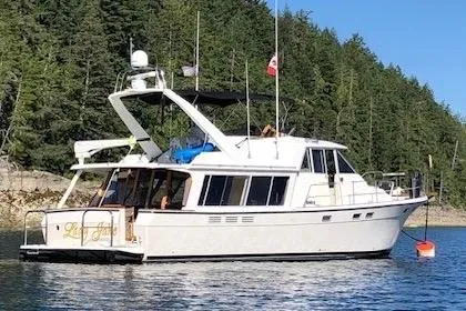 The Image of 1985 Bayliner 4550 Motoryacht on calm water, surrounded by lush greenery. - 0