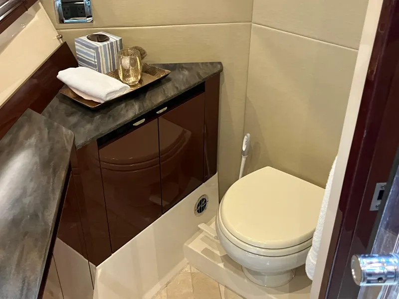 Slide: The Image of Sea Ray Sundancer 460 2017 - 150